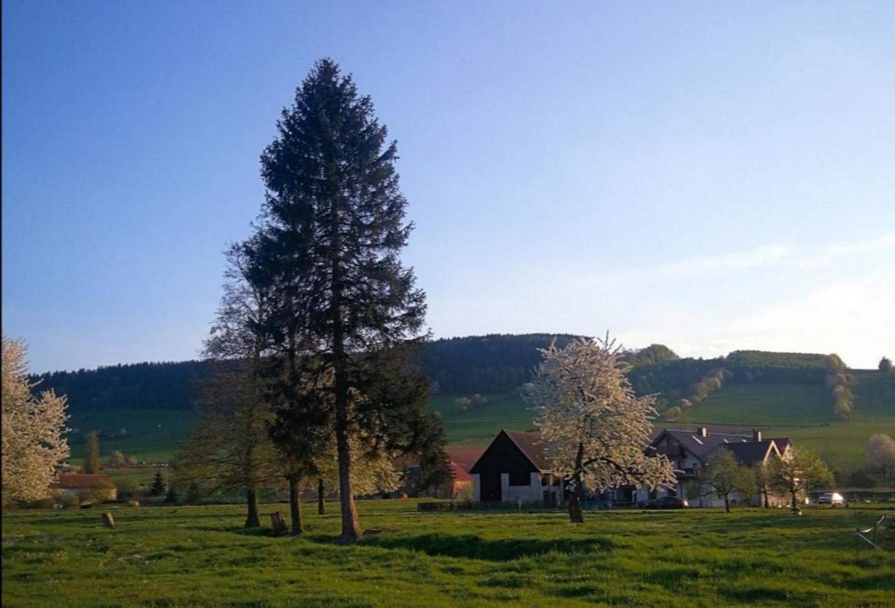 Agroturystyka "U Kasi" Scinawka Gorna Екстериор снимка