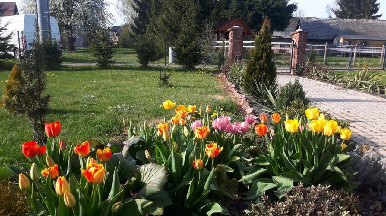 Agroturystyka "U Kasi" Scinawka Gorna Екстериор снимка