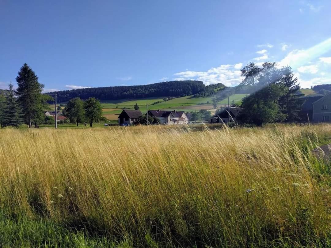 Agroturystyka "U Kasi" Scinawka Gorna Екстериор снимка
