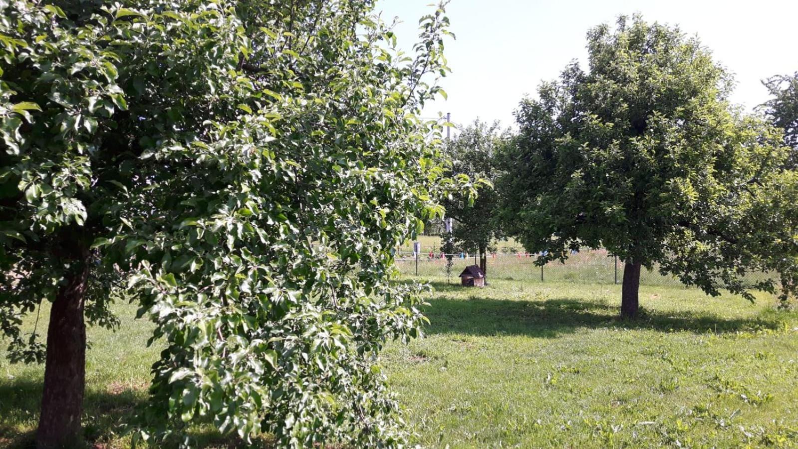 Agroturystyka "U Kasi" Scinawka Gorna Екстериор снимка