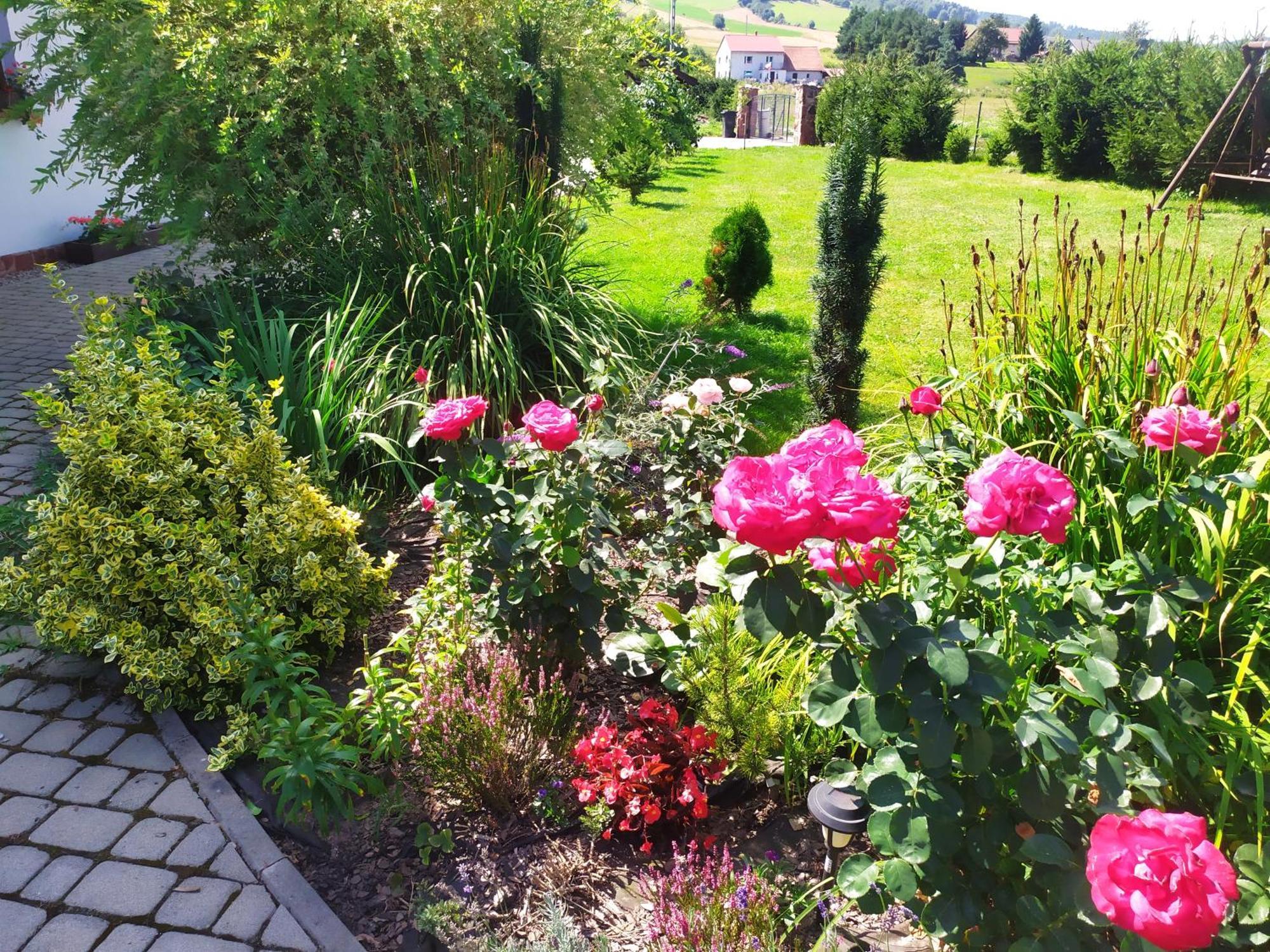 Agroturystyka "U Kasi" Scinawka Gorna Екстериор снимка